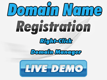 Budget domain names registration